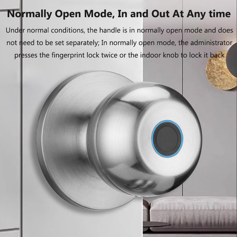 Tuya fechadura da porta inteli - Smart Home Door Lock avaliação e preço