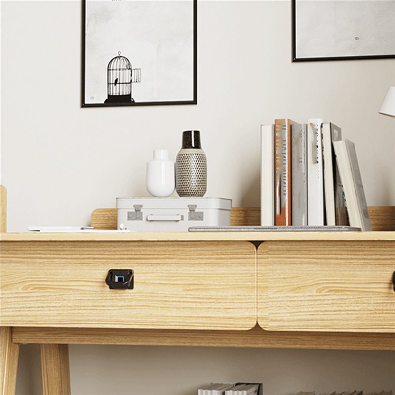 Fechadura Inteligente N13R (Du - Smart Home Furniture avaliação e preço